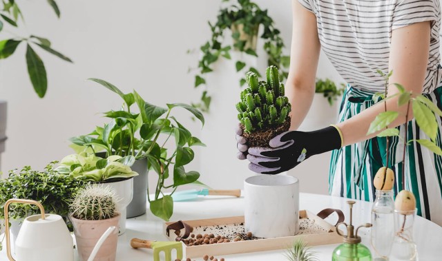 “轻松生活小贴士